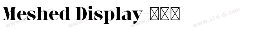Meshed Display字体转换